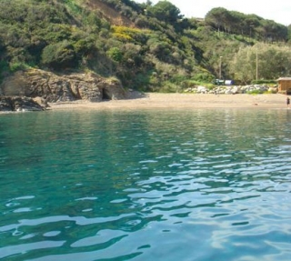 Costa verdeggiante